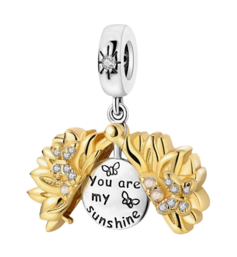 You are my sunshine charm