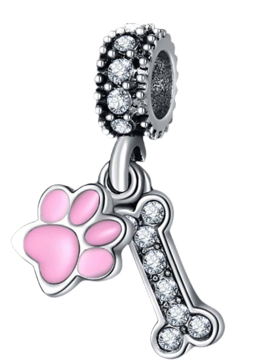 Paw & Bone charm