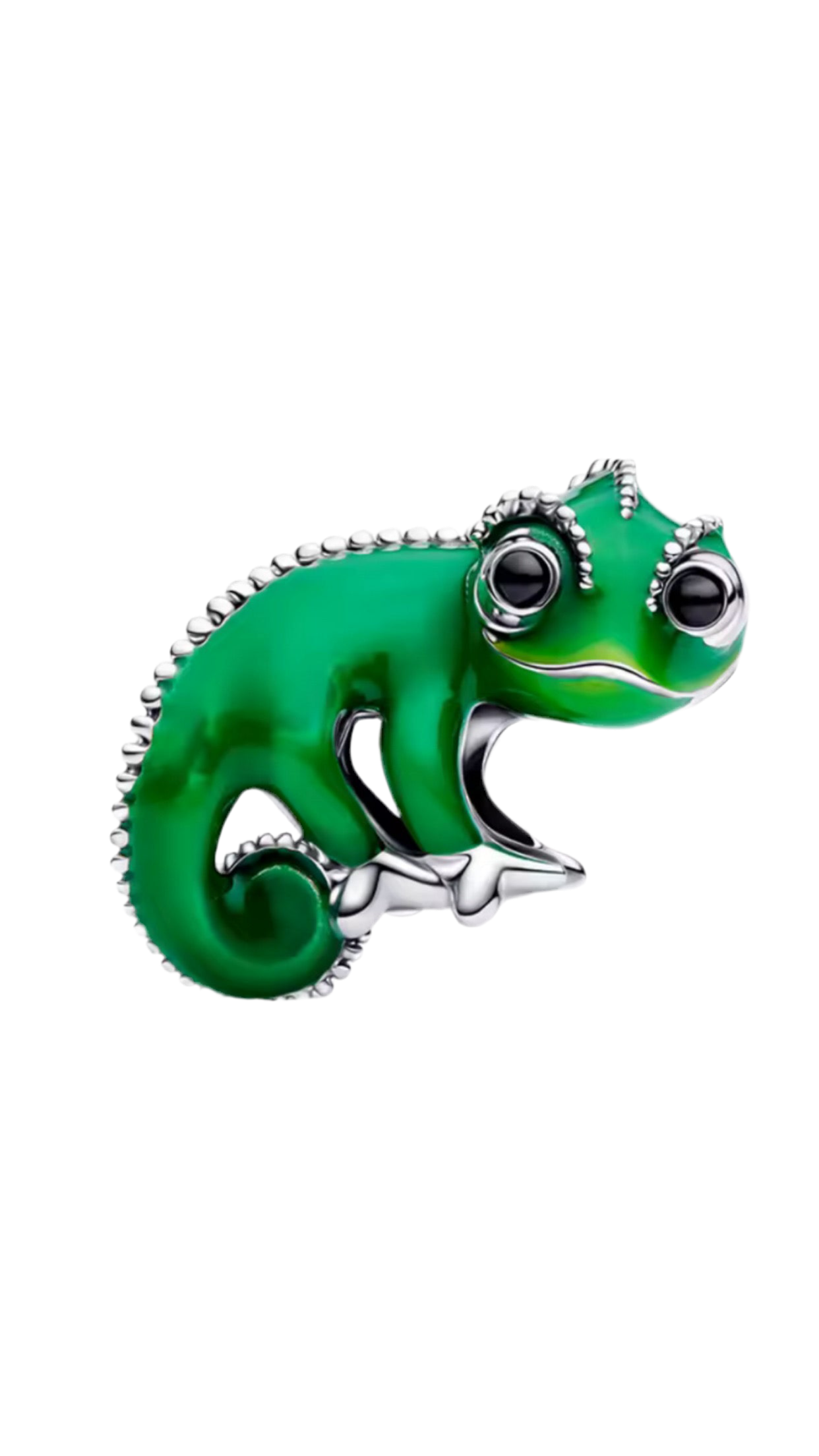 Princess pet charm