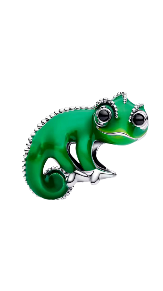Princess pet charm