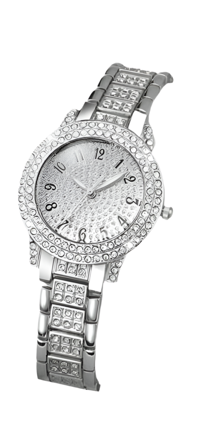 Elegant Silver Timepiece