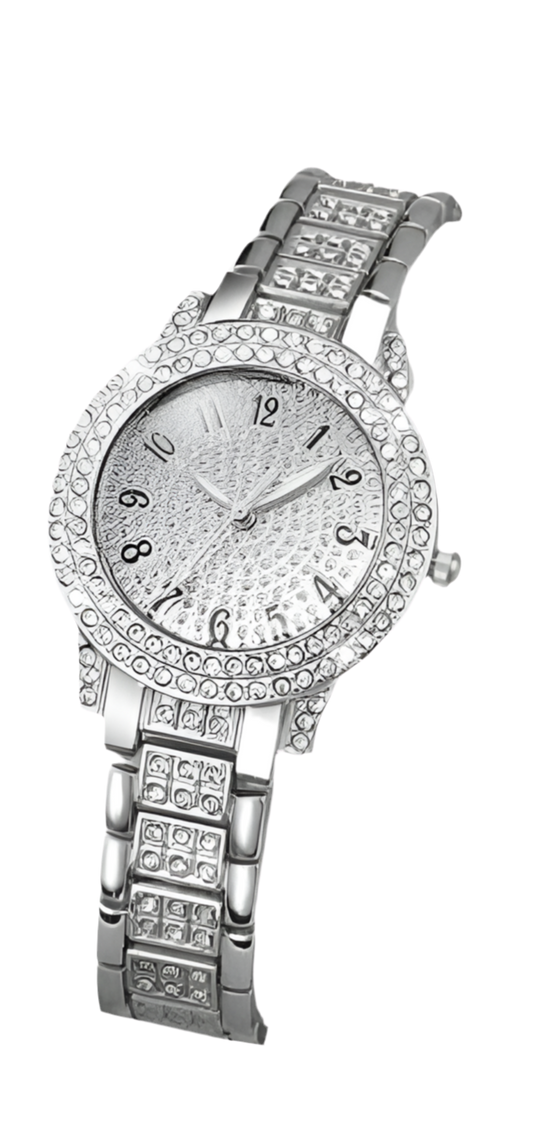 Elegant Silver Timepiece