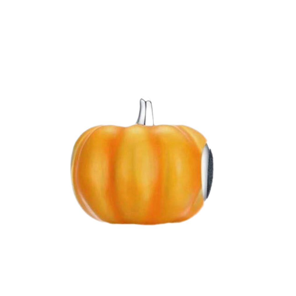 Pumpkin Spice Charm