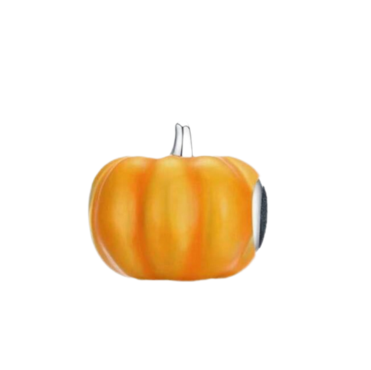 Pumpkin Spice Charm